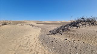 2023-GC--Mapalomas dunas-S123-159.jpg